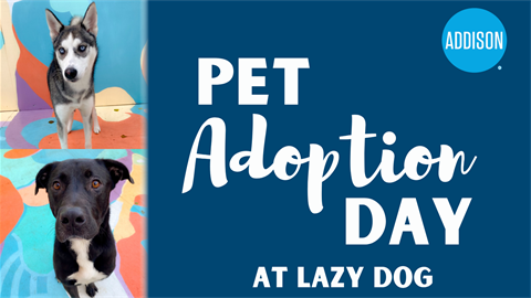 Graphic with pictures of 2 dogs with text describing event