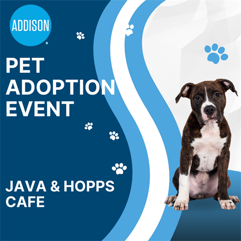 Pet Adoption Eventfeb.png