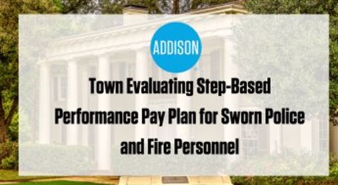 Step Performance Plan Graphic