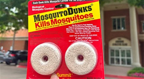 mosquito dunks.jpg